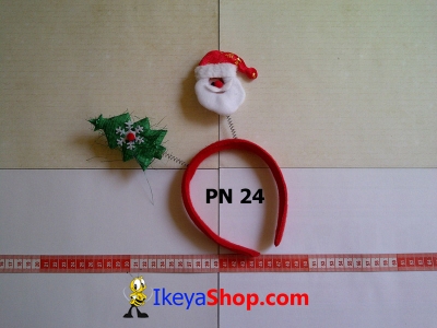 PN 24  large2